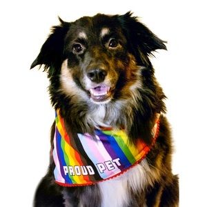 🆕 3 Piece Pet Pet Pride Pack